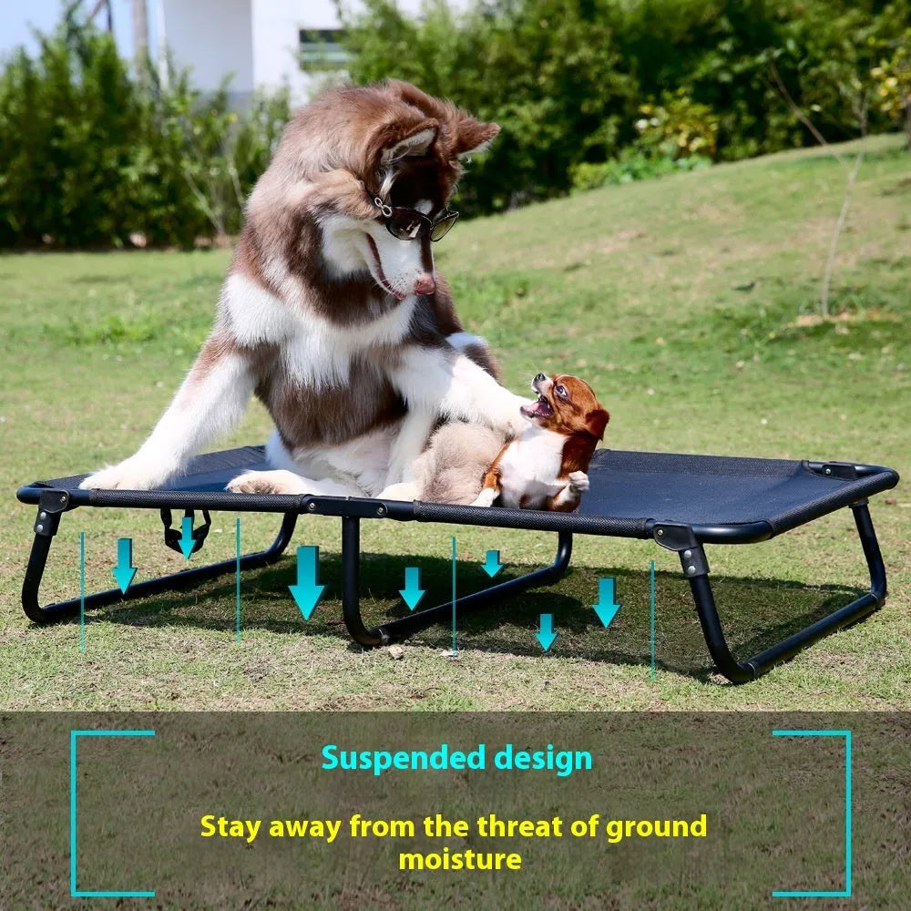 Steel frame dog camp bed with mesh sides and mattress in various size options