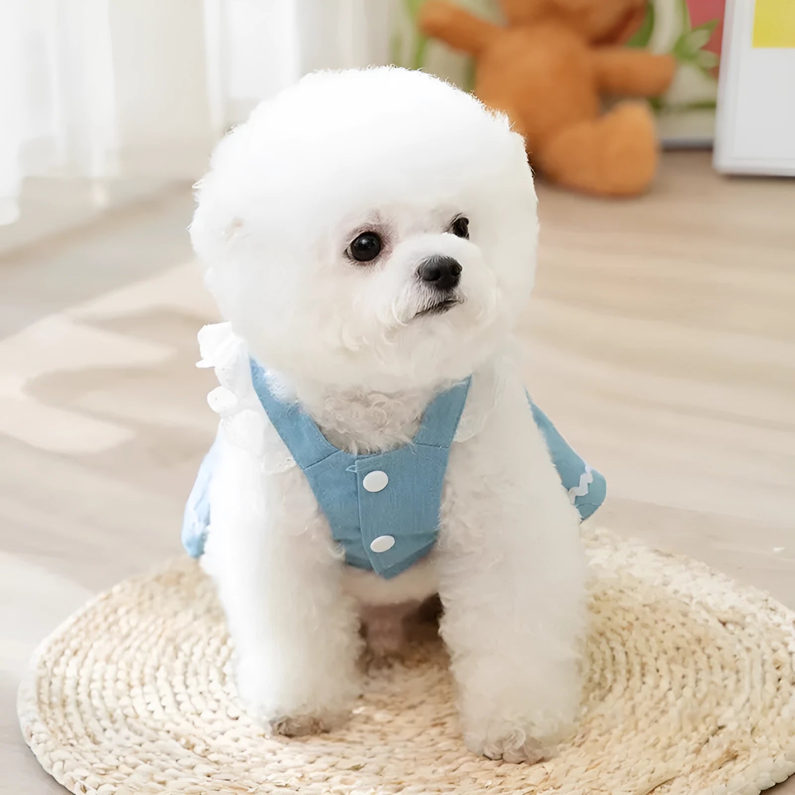 Bondi Blue strawberry print denim skirt dog clothes with traction appliqué for small dogs