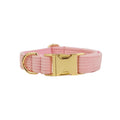 A soft corduroy dog collar in light grey, showing the textured fabric and adjustable buckle.