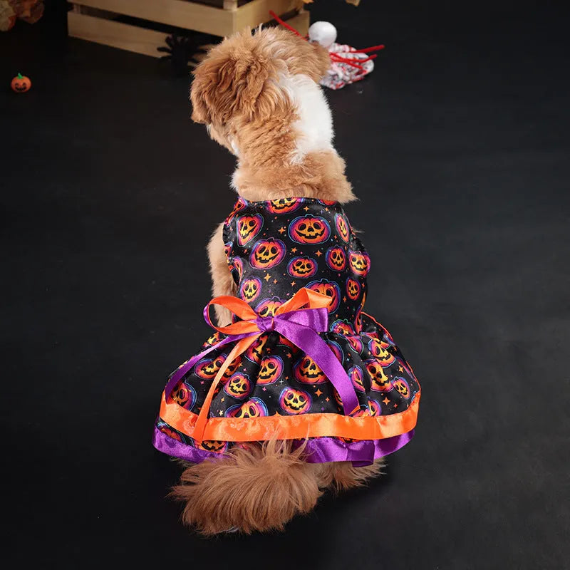 Halloween dog skirt in colourful pumpkin print, double-layer design, shown on a medium-sized dog.