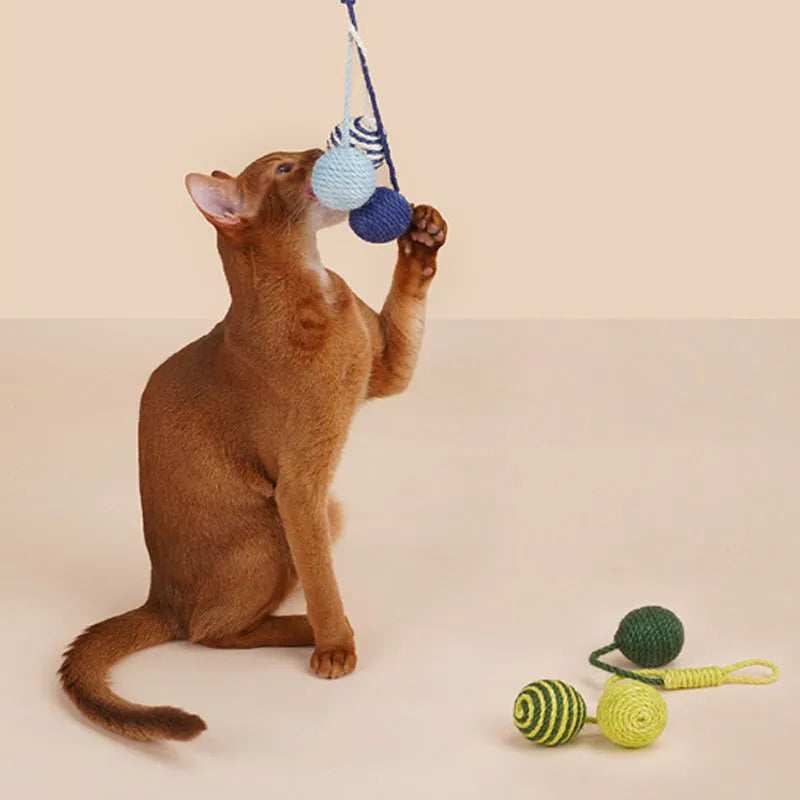 Cat toy set showing bite-resistant teaser wand and catnip ball in multiple colour variations