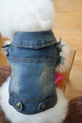 Denim dog vest with retro scratch pattern in dark and light colours for autumn winter wear