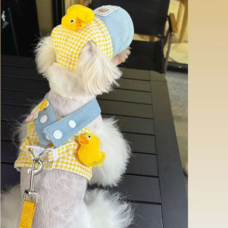 Pet summer outfit set with cat clothes, hat, and wire rope dog harness leash in bright colours
