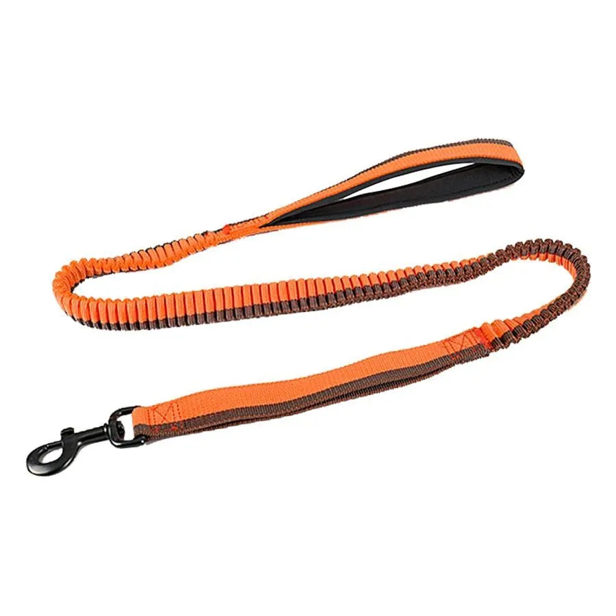 Tactical elastic dog training leash with zinc alloy clip in red colour for medium and large breeds