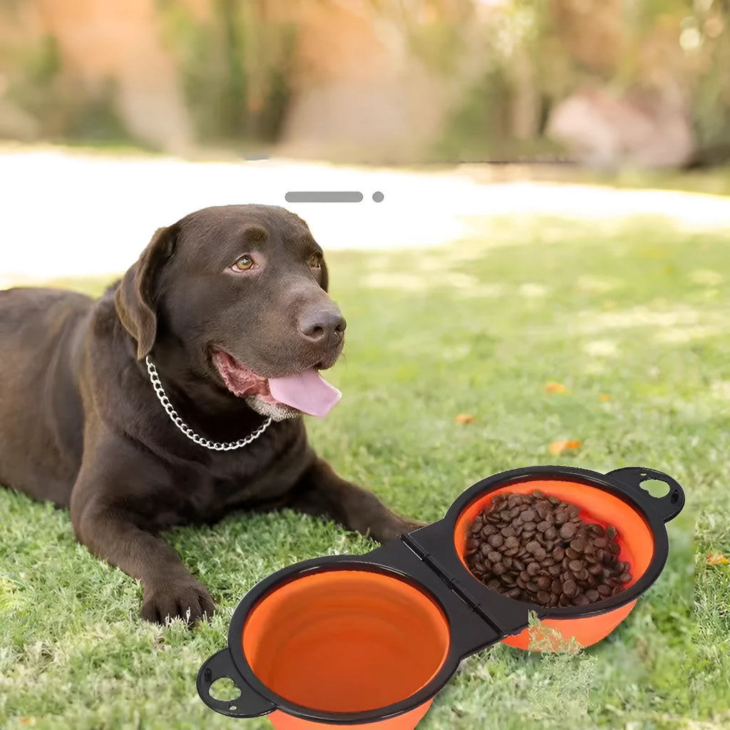 Blue folding silicone double pet bowl for dogs and cats, shown both open and collapsed flat