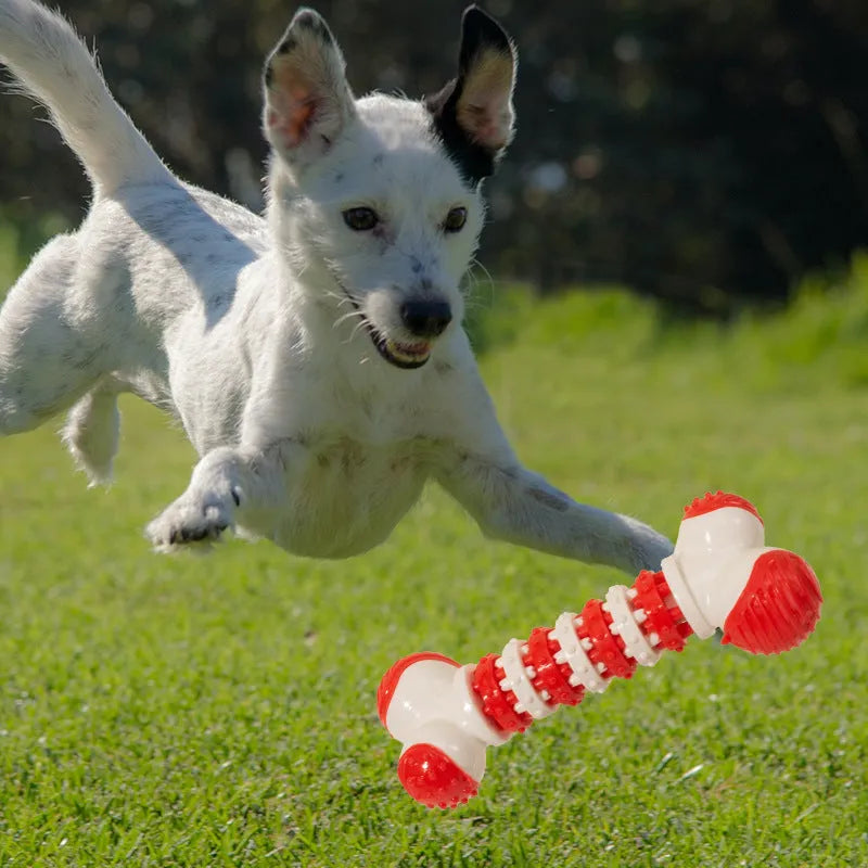 Blue, orange, and red bone-shaped interactive chew and treat toy for small breed dogs.