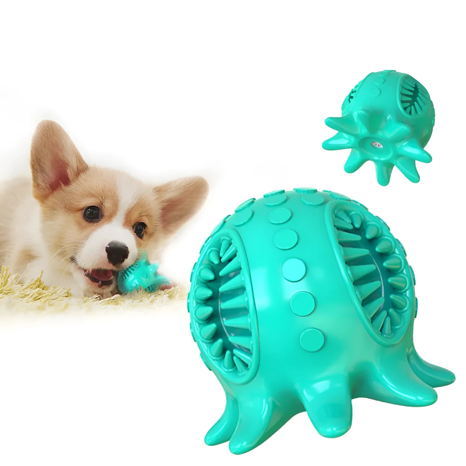 Small octopus dog toothbrush chew toy in blue with sound feature for teeth cleaning and bad breath removal