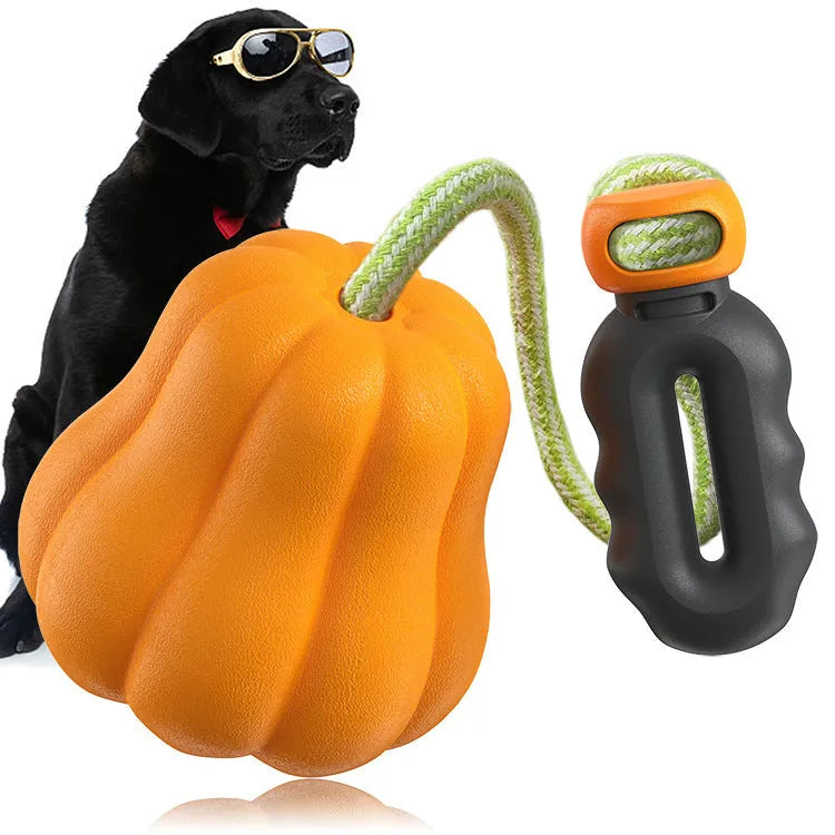 Orange pumpkin-shaped plastic dog chew toy with a blue rope attached for tug and fetch games.
