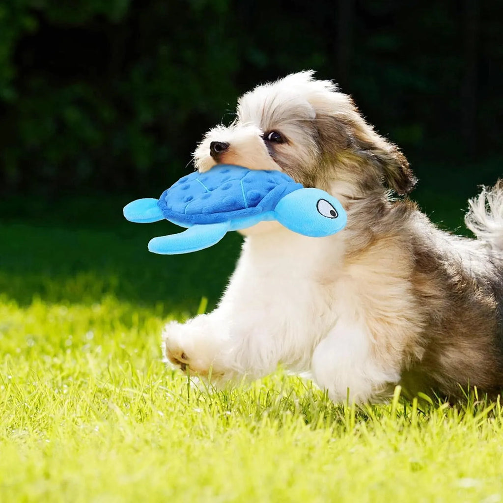 Blue sea turtle plush dog toy with composite mesh construction and no stuffing