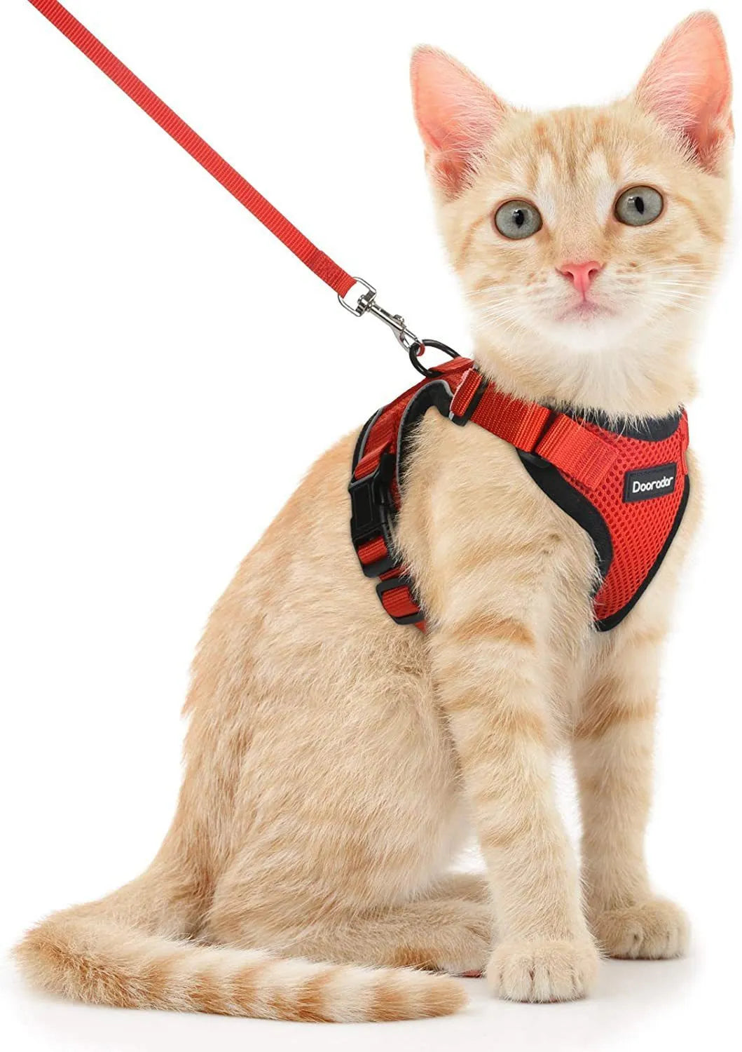 Adjustable anti-escape cat leash in sky blue made of polyester for small cats and kittens