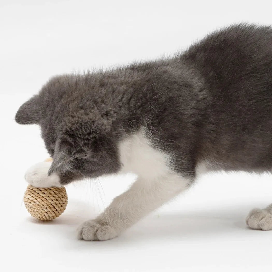 Primary colour cat toy set showing hollow rattan ball and faux feather bell ball on wooden floor