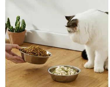 Stainless steel pet bowl with non-slip base in one of five available sizes.