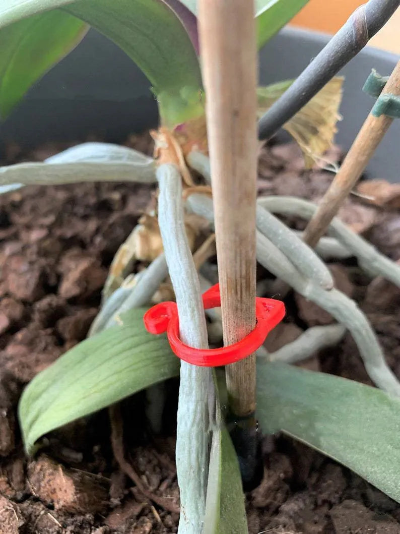Small green plastic cat-shaped clip on a plant leaf