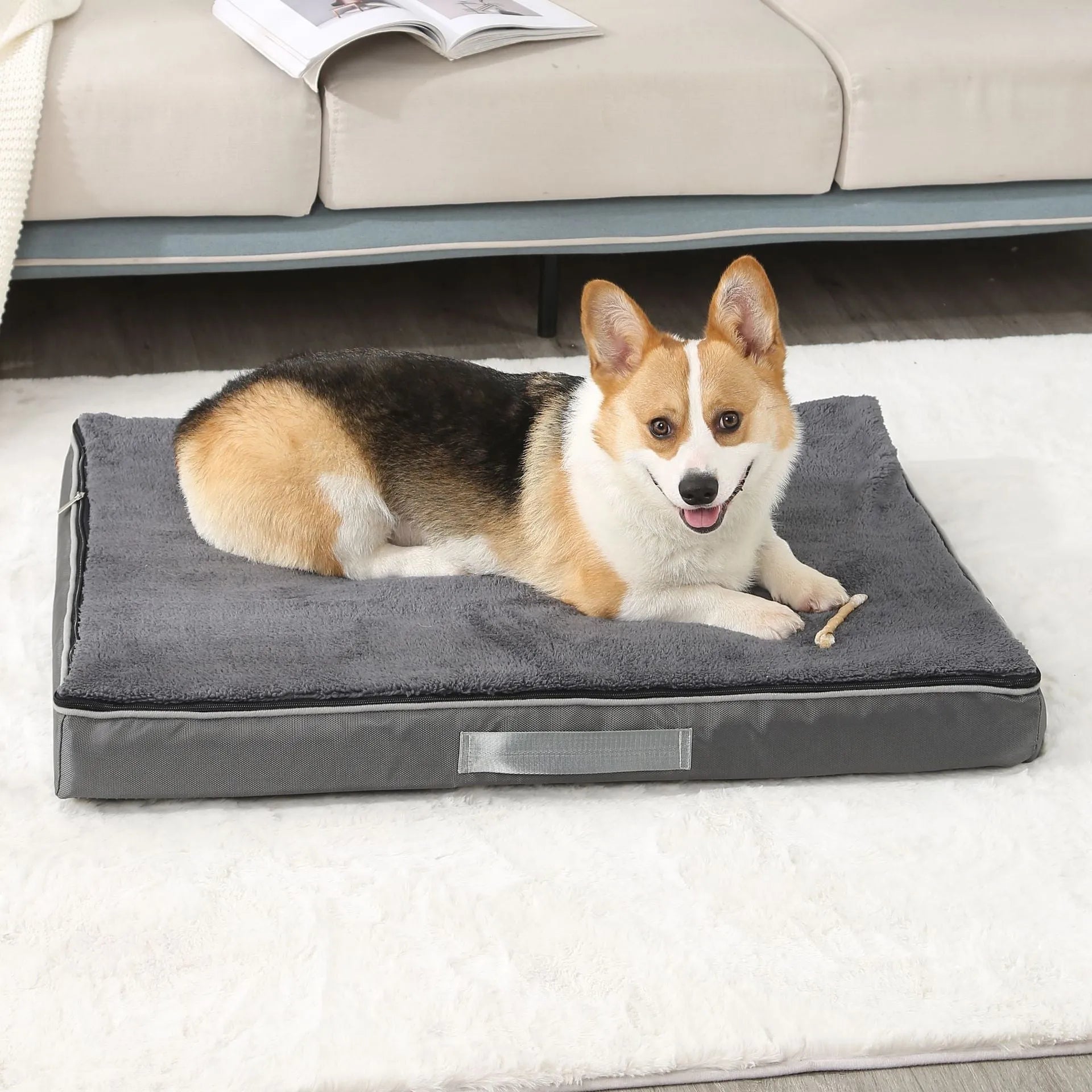 Removable washable sponge dog mat in brown, shown next to size options.
