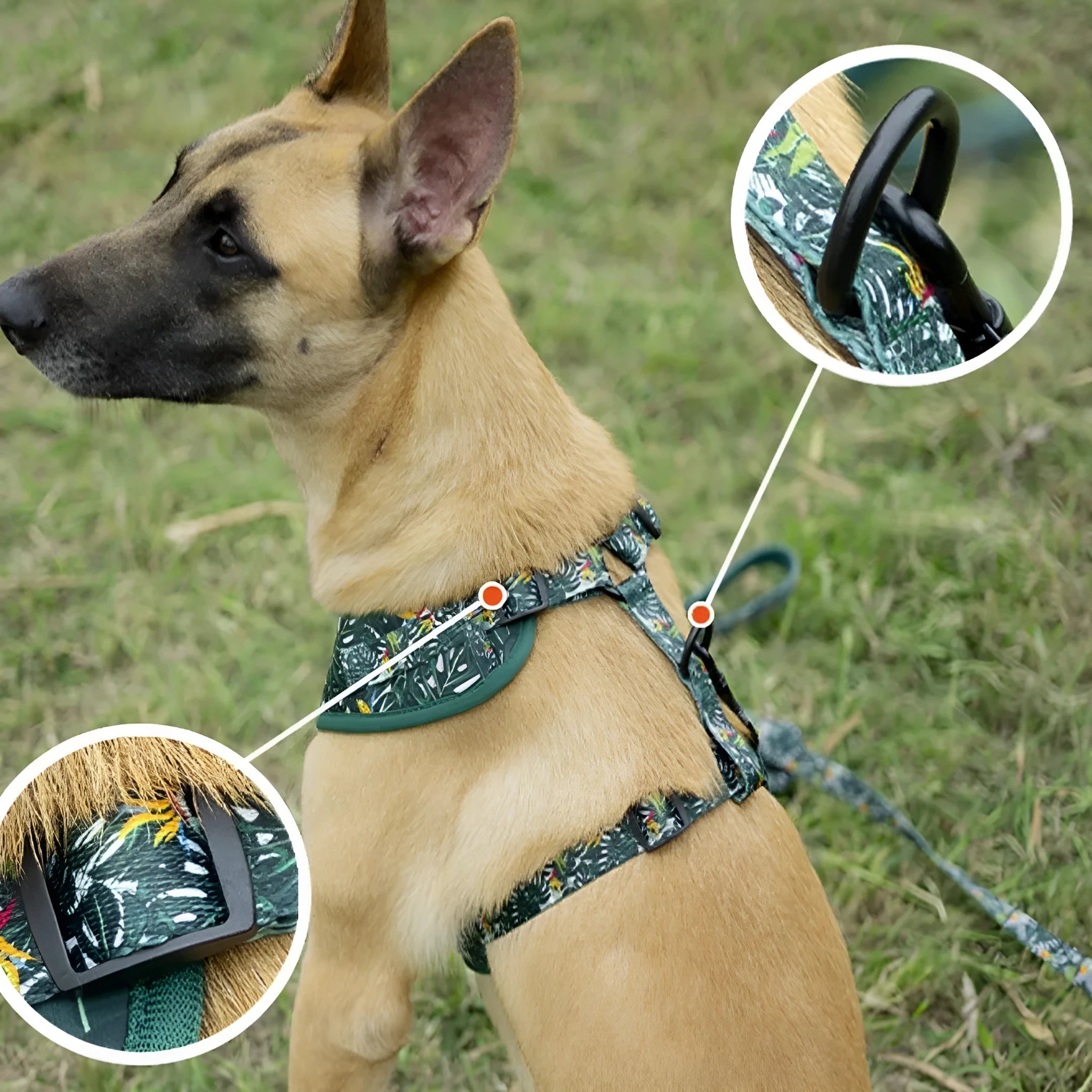 Adjustable cloth dog harness and leash six-piece set with collar, waste bag, bow tie and scarf