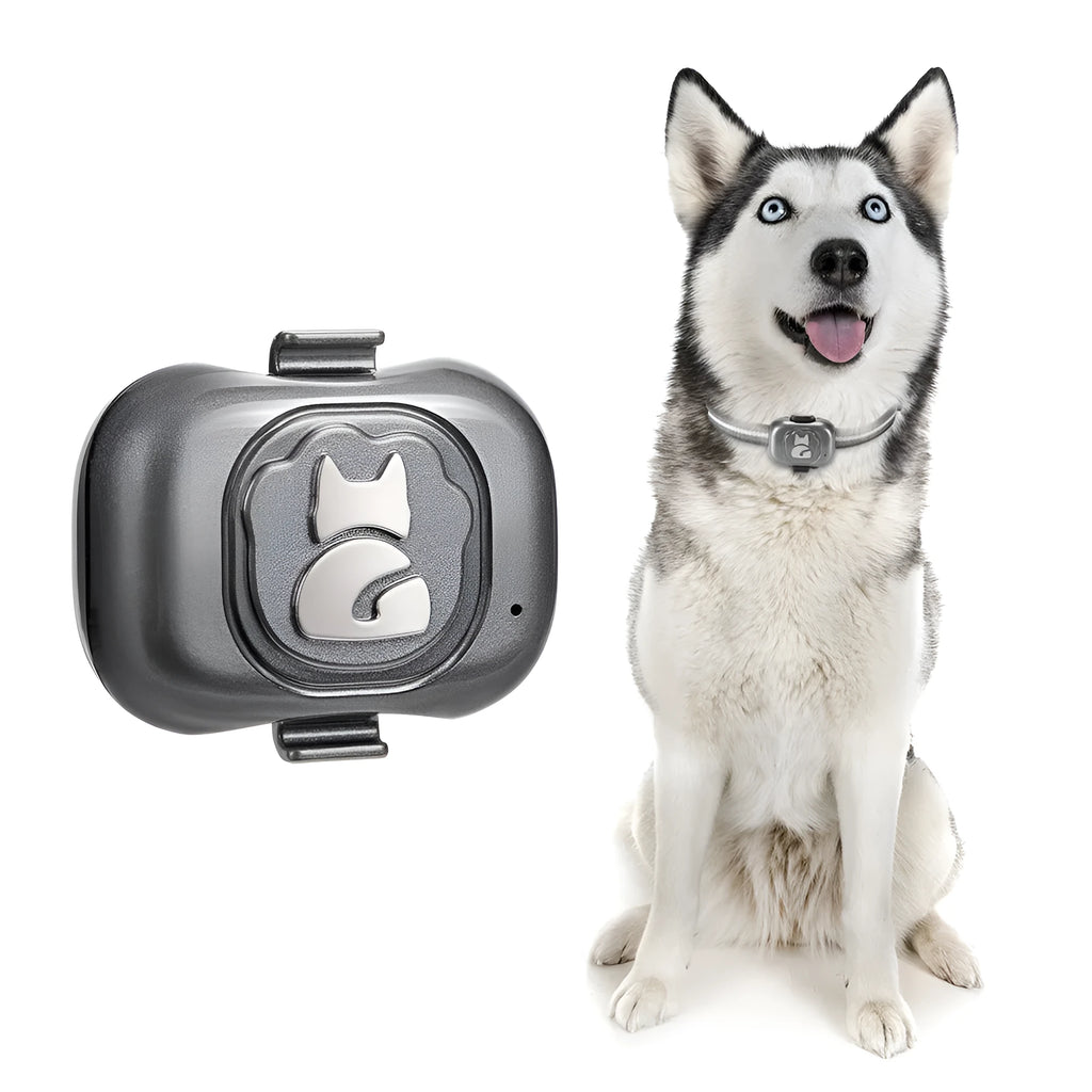 Black pet GPS locator tracking device with hanging rope for attachment to pet collars