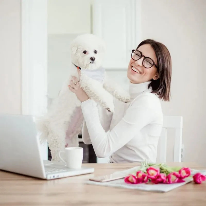 White blank dog scarf for thermal transfer customisation in four different sizes
