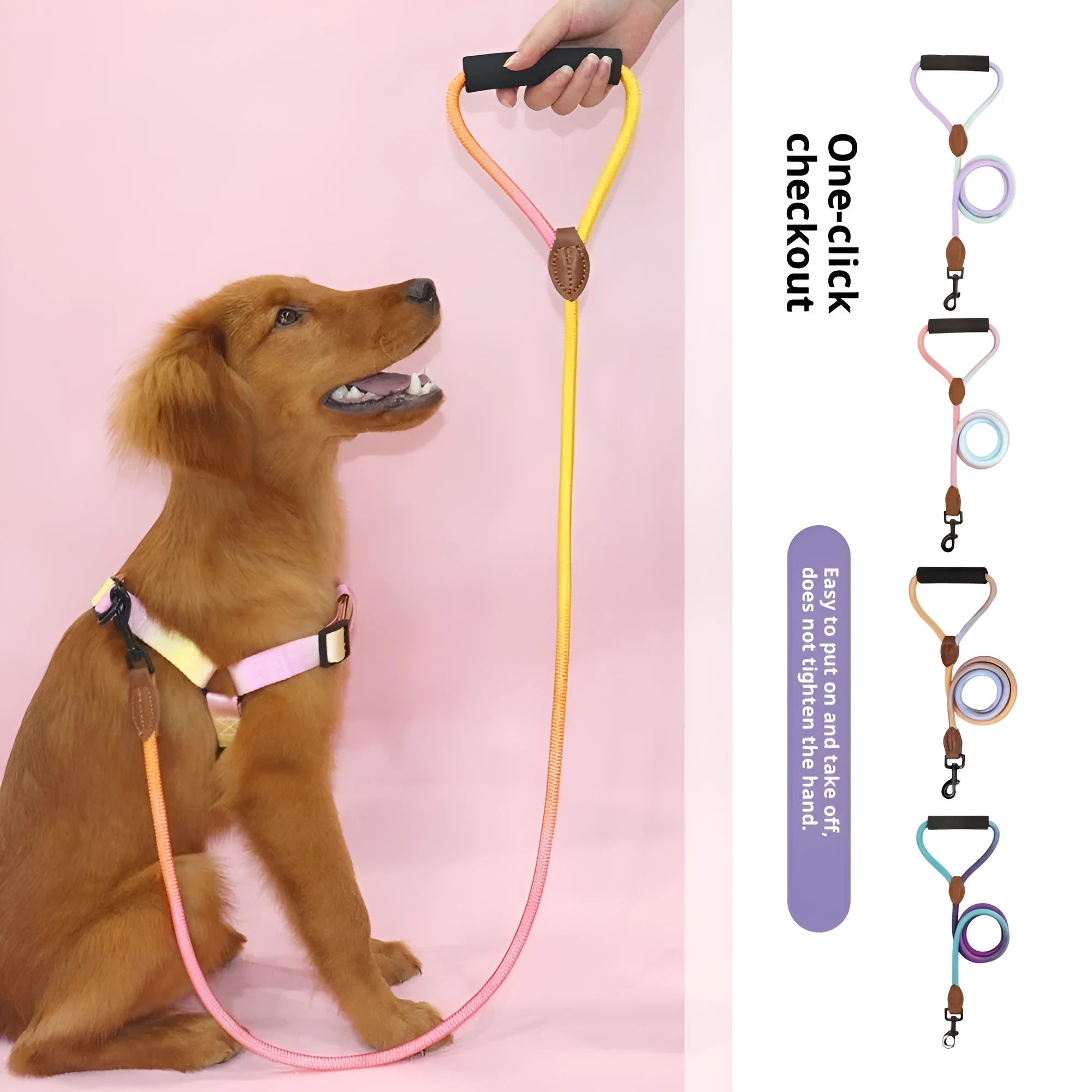 Nylon dog hand holding rope leash round pet lead in multiple colours