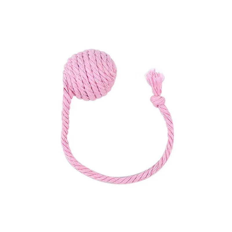 Colourful cat toy ball with an attached rope and built-in bell for kittens, shown in green, pink, purple, and yellow.