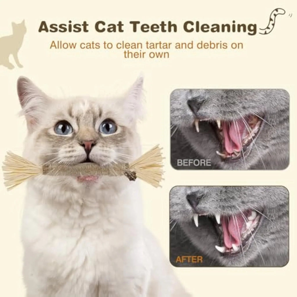 Three natural silvervine cat chew sticks with sisal rope and raffia for dental care and teeth cleaning