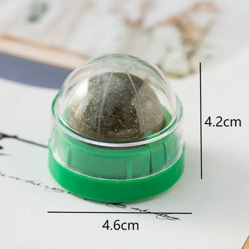 Plastic catnip ball toy in various colours with textured surface for molar teeth cleaning