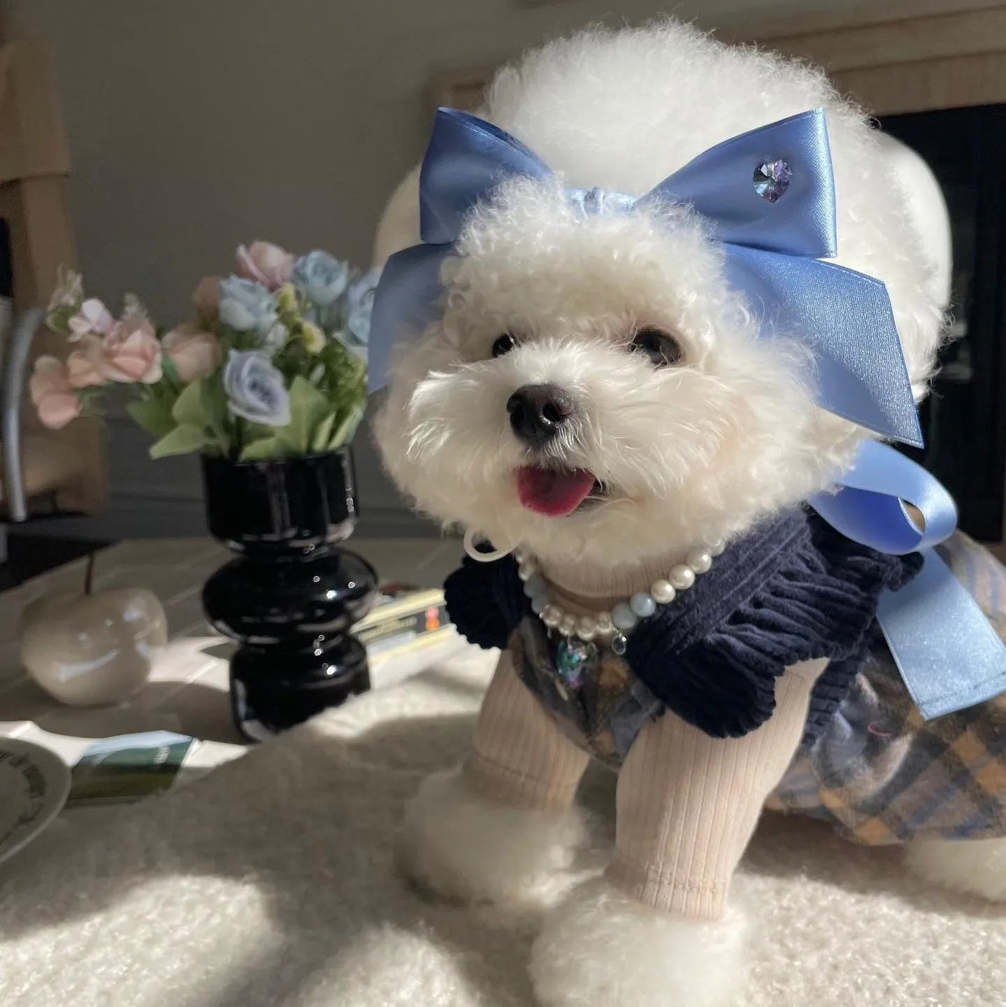 Adjustable bow tension dog hair band in polyester cotton with free size 25-40cm fit