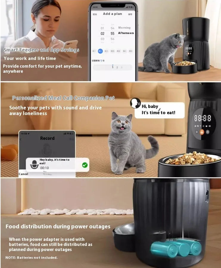 Black automatic pet feeder with digital display and food bowl on a kitchen counter.