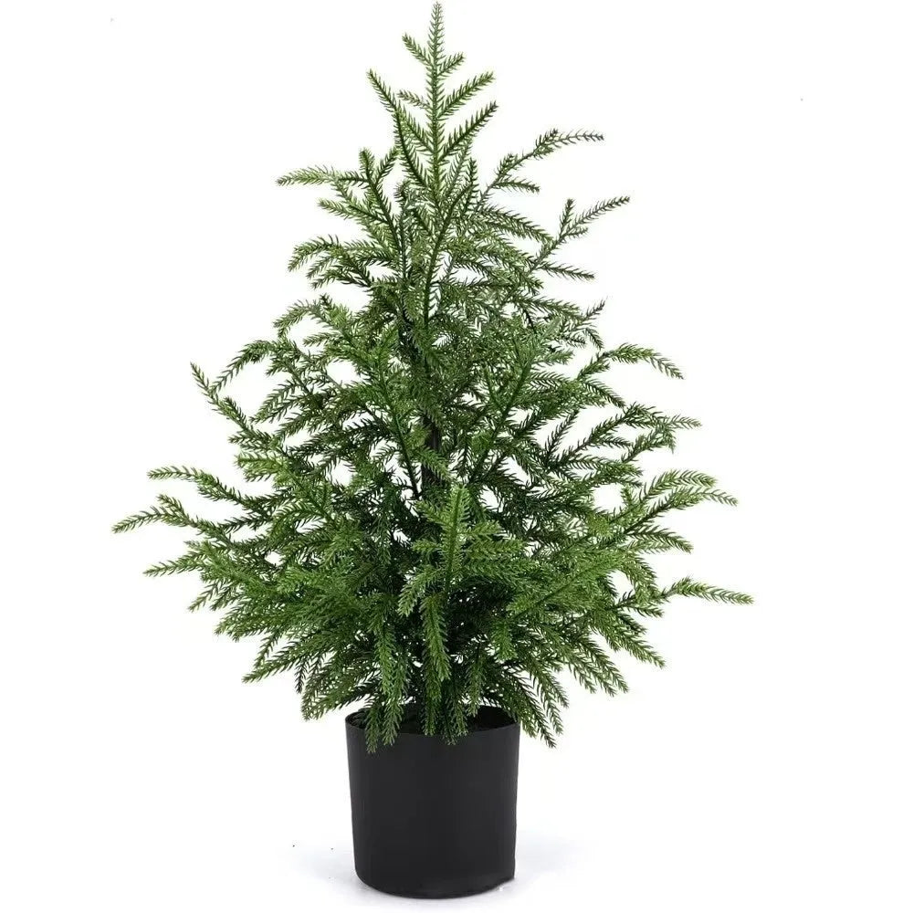 60cm Norfolk Pine Christmas tree with moving fork branches and black flowerpot on a front door step