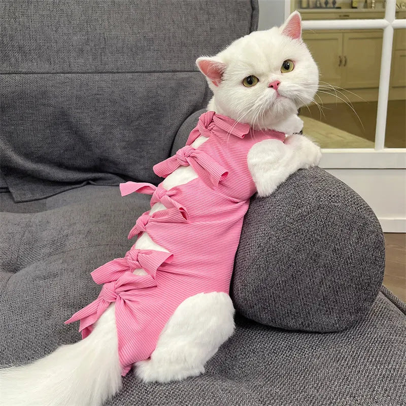Blue lace-up back cat recovery suit for post-sterilisation care on a grey cat