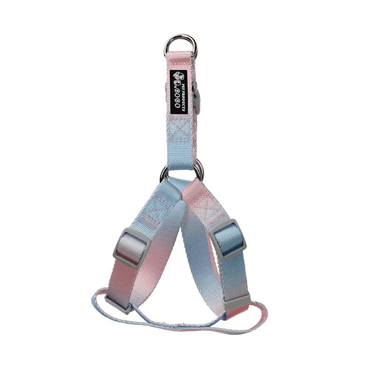 Nylon dog leash set showing gradient colour options including pink blue yellow purple green patterns