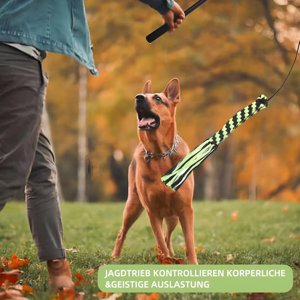 102cm black three-section aluminium alloy telescopic dog teasing rod with two bite ropes and one ball on a white background