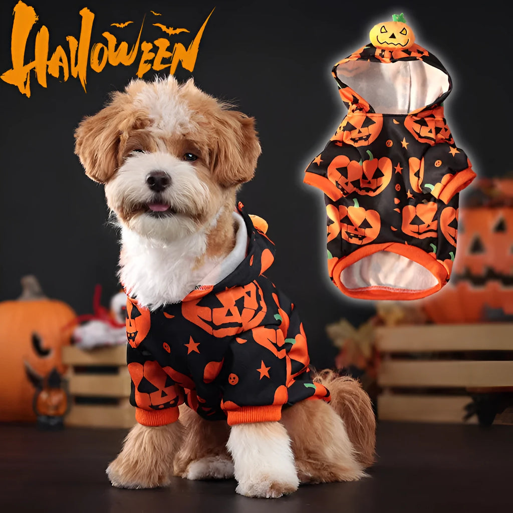 Wansheng pet pumpkin sweater in orange polyester fabric for dogs and cats sizes S to 2XL