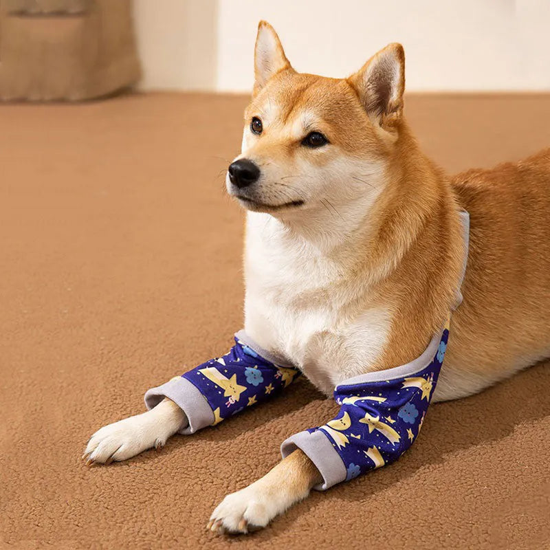 Dog wearing blue knee protector pad with elbow padding and matching scarf with doggie print pattern