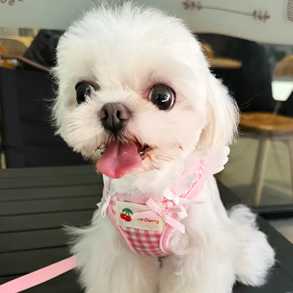 Pink cotton chest and back hand holding rope harness for a small dog on a white background.
