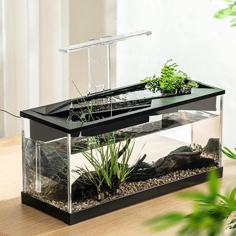 Small acrylic integrated lazy aquarium with circular filter, built-in lamp, external light, and heating mat for desktop use