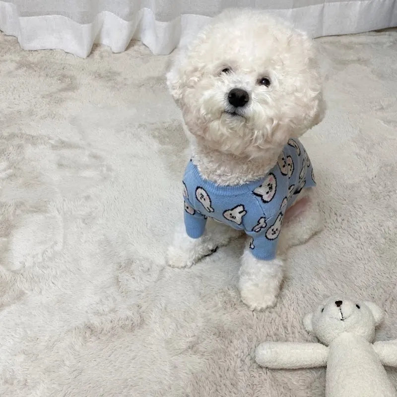 Small dog wearing a blue winter knitted sweater with charming patterns, soft polyacrylic material, side view