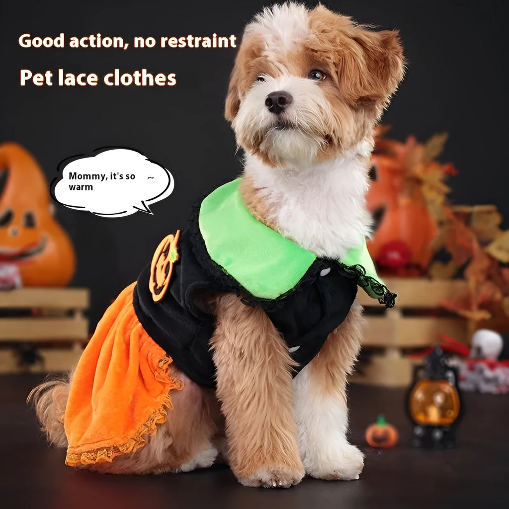 Small dog wearing a crystal velvet Halloween pumpkin skirt costume next to a Halloween sweater pet outfit.
