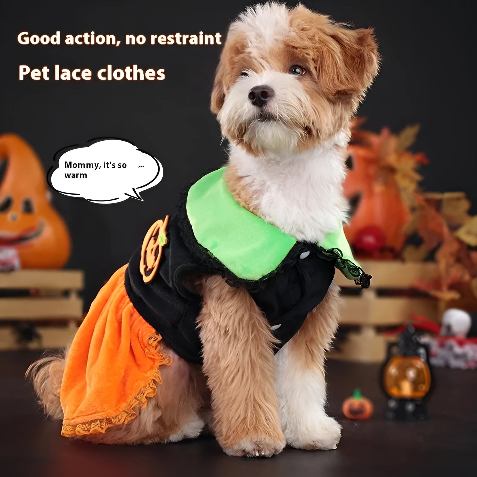 Small dog wearing a crystal velvet Halloween pumpkin skirt costume next to a Halloween sweater pet outfit.