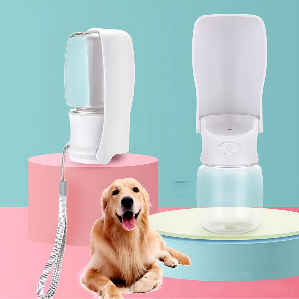 Blue foldable plastic dog water bottle shown in collapsed and expanded states, with 550ml capacity mark.