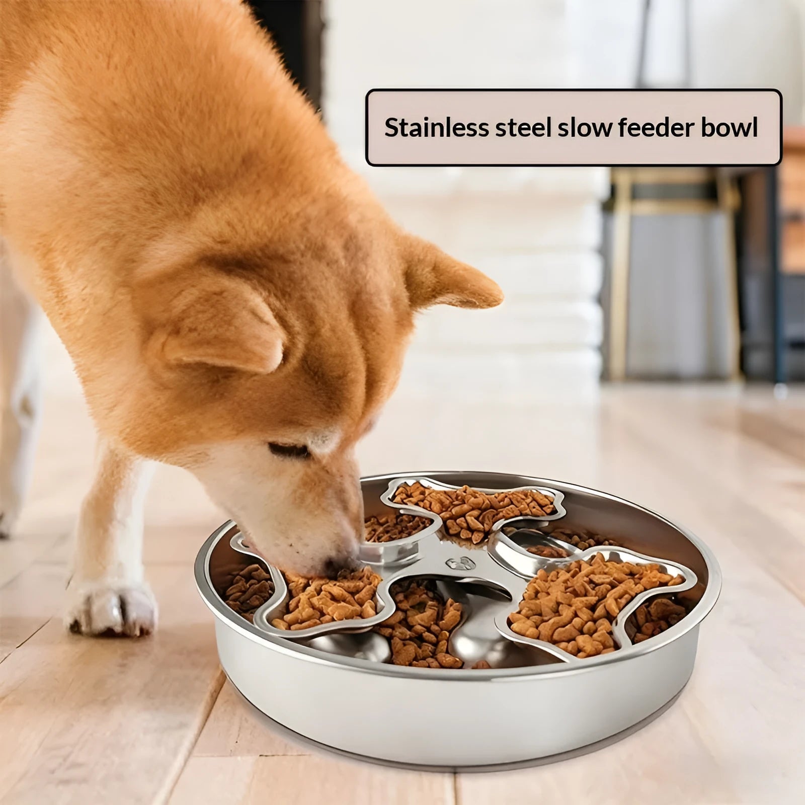 Stainless steel rotating slow-feeding pet bowl with bone design for dogs and cats to prevent choking