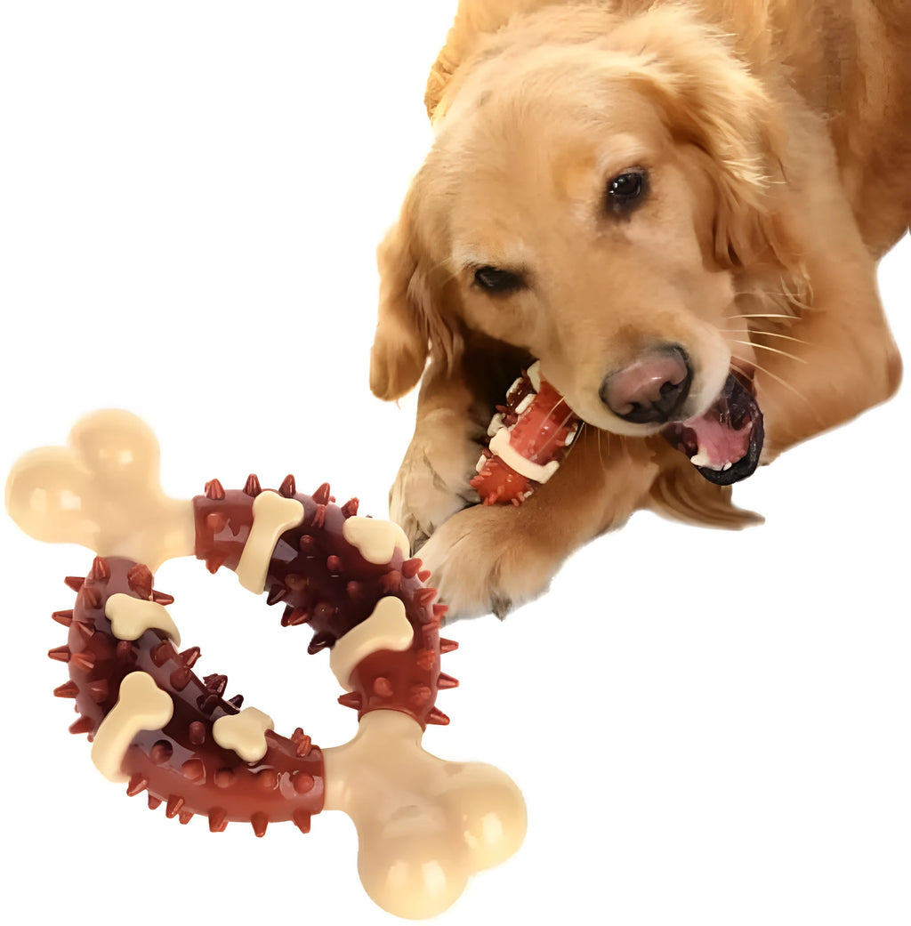 Natural rubber bone-shaped dog molar toy shown in two different sizes for teeth grinding and anxiety relief.
