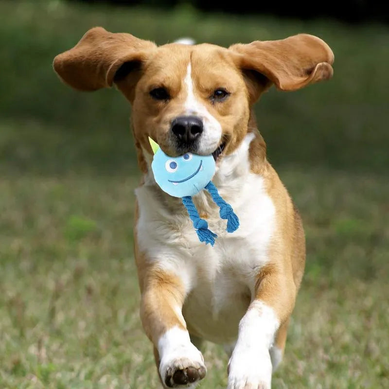 Yellow and blue dog squeaky toy with knot rope design for chewing and dental cleaning