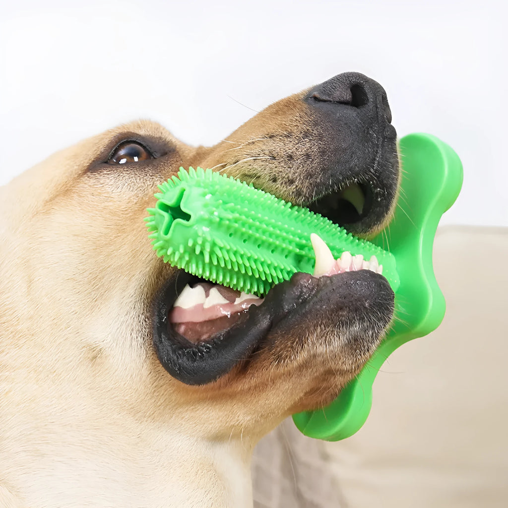 Green TPR dog chew toy with suction cup, small and large molar rods for teeth cleaning
