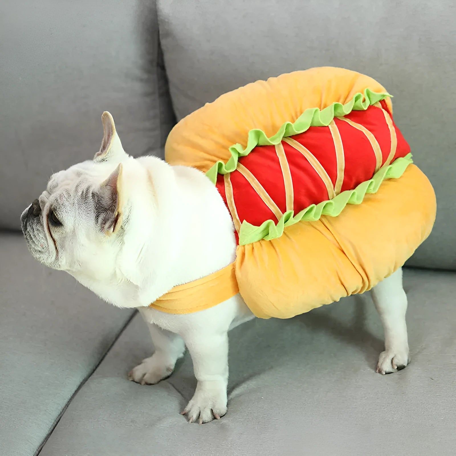 Yellow dog hot dog burger crossdress costume on a dog, showing FB one-size fit with fabric details