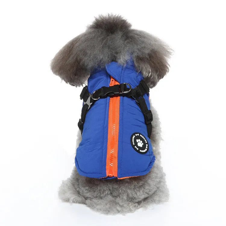 Polyester dog coat with chest strap in blue, shown on a model dog.