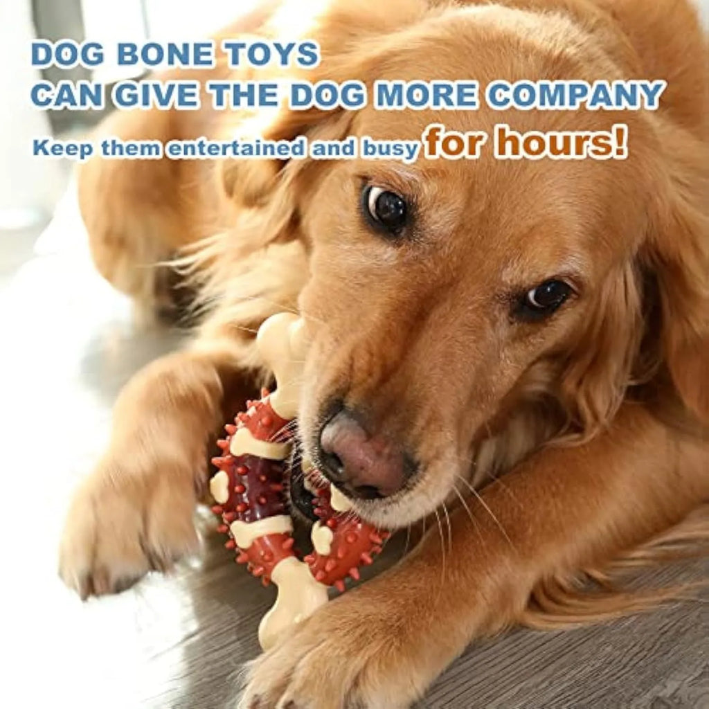 Natural rubber bone-shaped dog molar toy shown in two different sizes for teeth grinding and anxiety relief.