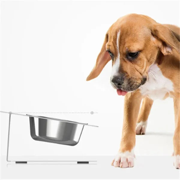 Anti-falling stainless steel cat dog feeding bowl with inclined design, 35x25x80cm, available in black