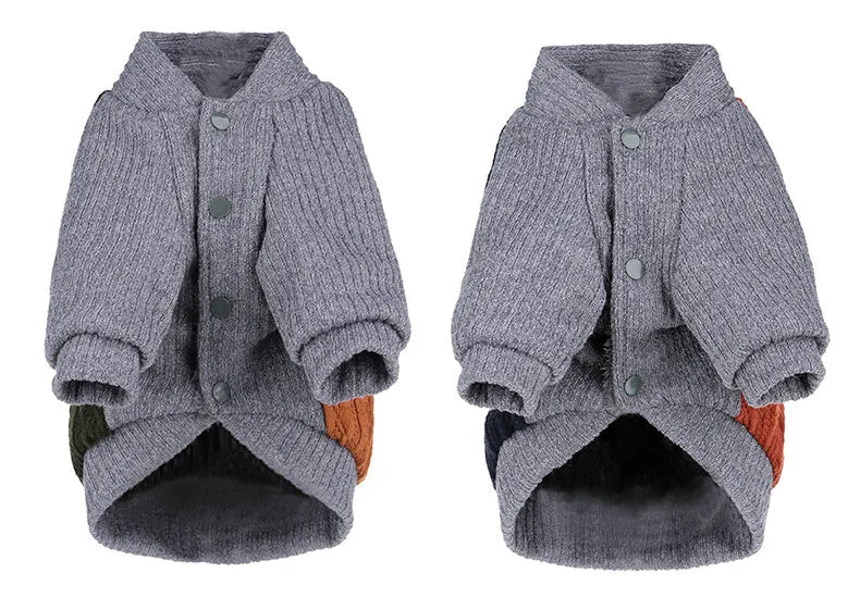 Blue cotton dog sweater on a small dog, knit texture, side view, warm pet clothing