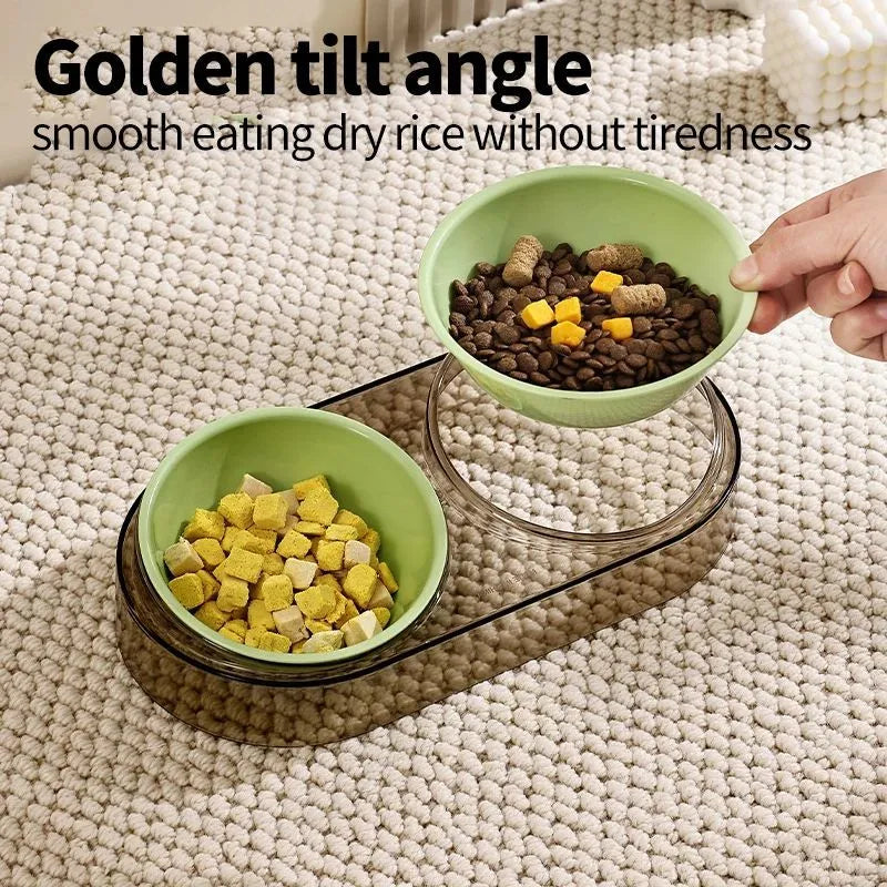 Transparent plastic double cat and dog bowl with two compartments for food and water