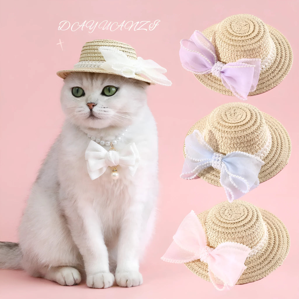 Cat wearing woven straw hat with pearl bow decoration in princess style